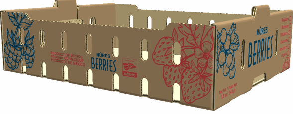 Caja para Berries